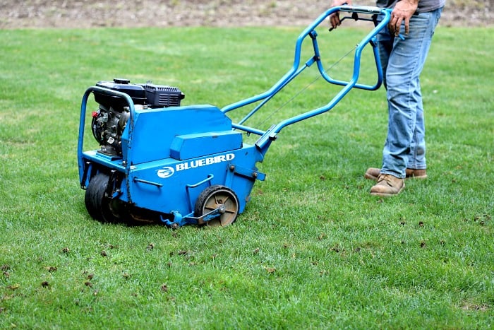 Bluebird Corer